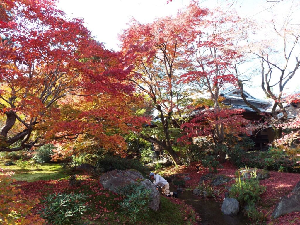 Kyoto – Arashiyama : Hōgon-in, le jardin Shishiku et retour à la bambouseraie