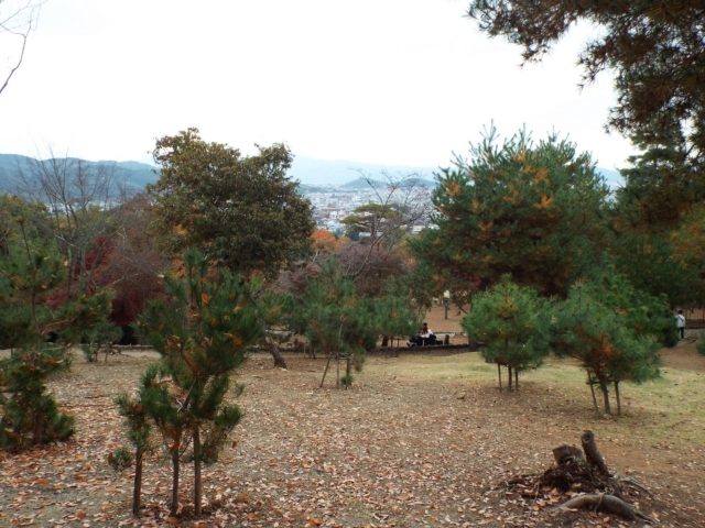 DSCF0701-min