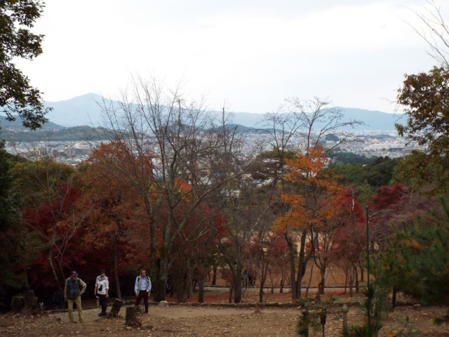 DSCF0702-min