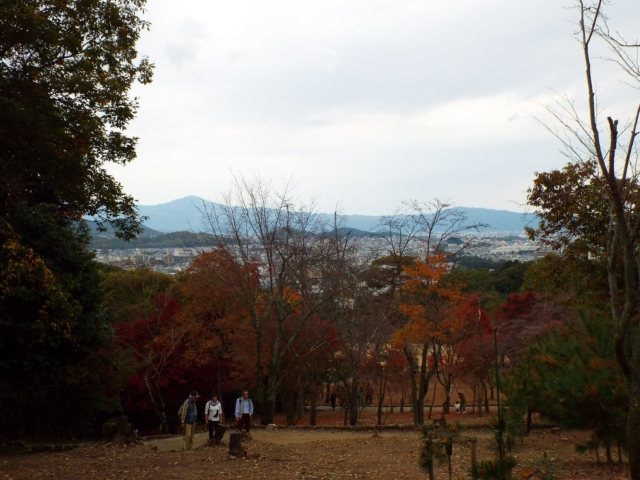 DSCF0703-min