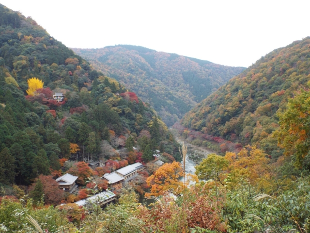 DSCF0726-min
