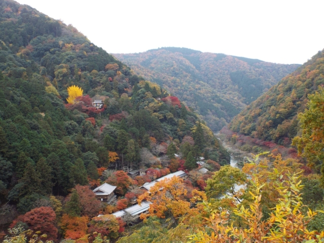 DSCF0729-min