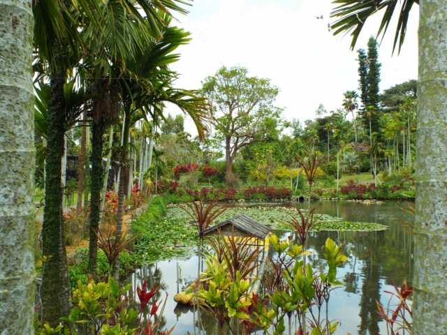 Southeast Botanical Gardens - Water Garden